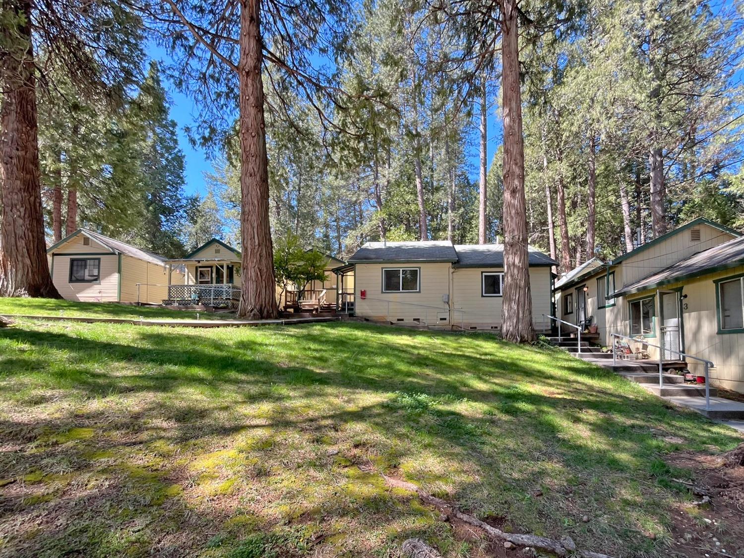 Detail Gallery Image 5 of 16 For 347 Nile St, Nevada City,  CA 95959 - – Beds | – Baths