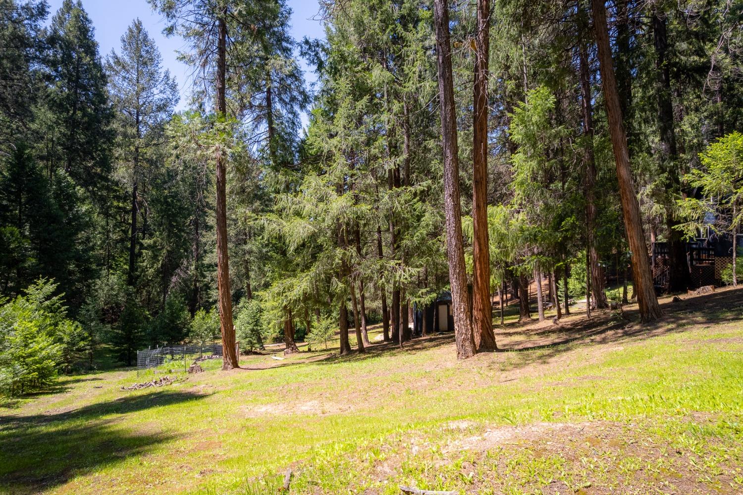 Detail Gallery Image 39 of 54 For 16199 Pioneer Creek Rd, Pioneer,  CA 95666 - 4 Beds | 2 Baths