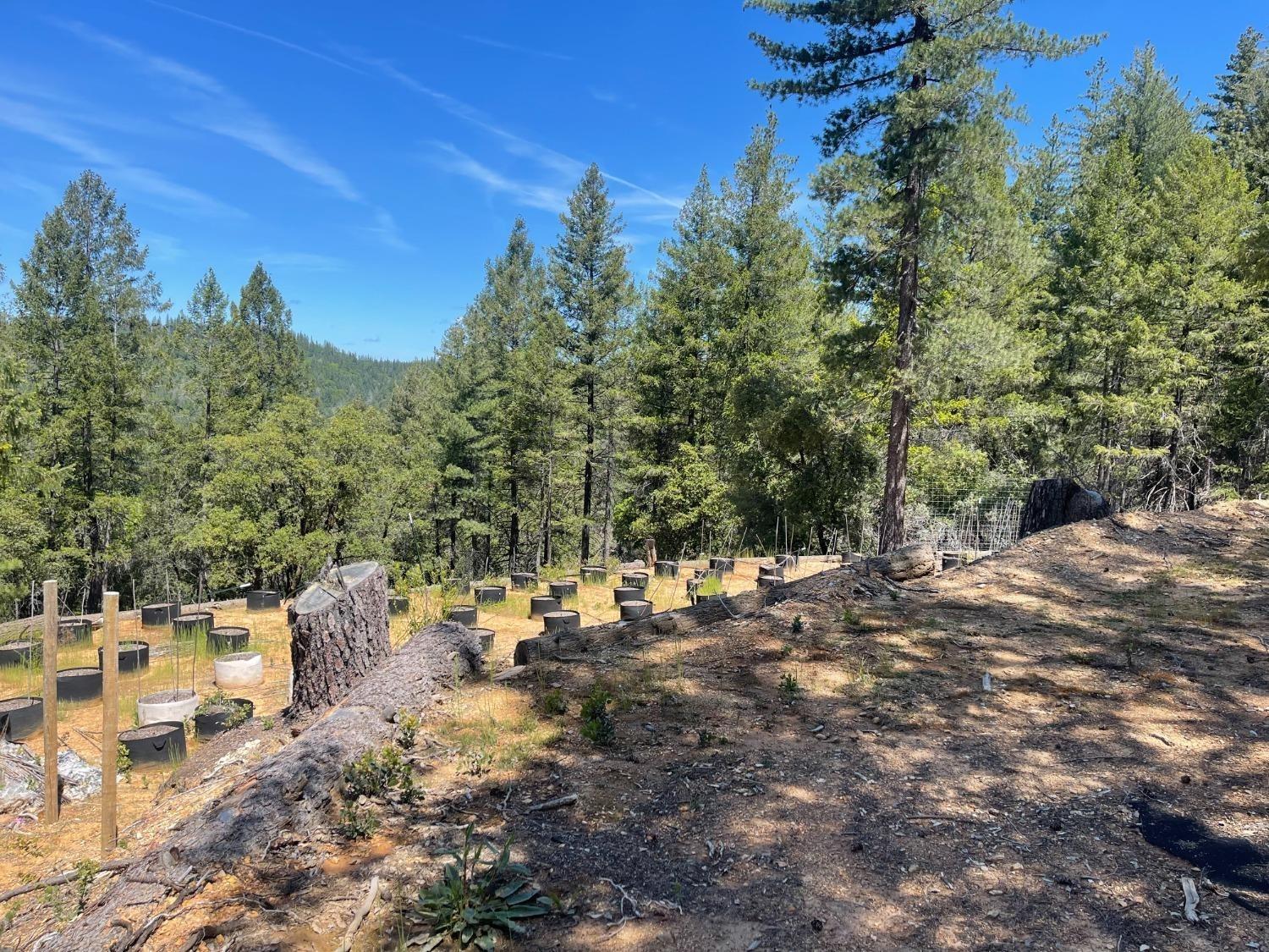 Detail Gallery Image 26 of 26 For 0 Kings Hill Rd, Colfax,  CA 95713 - – Beds | – Baths