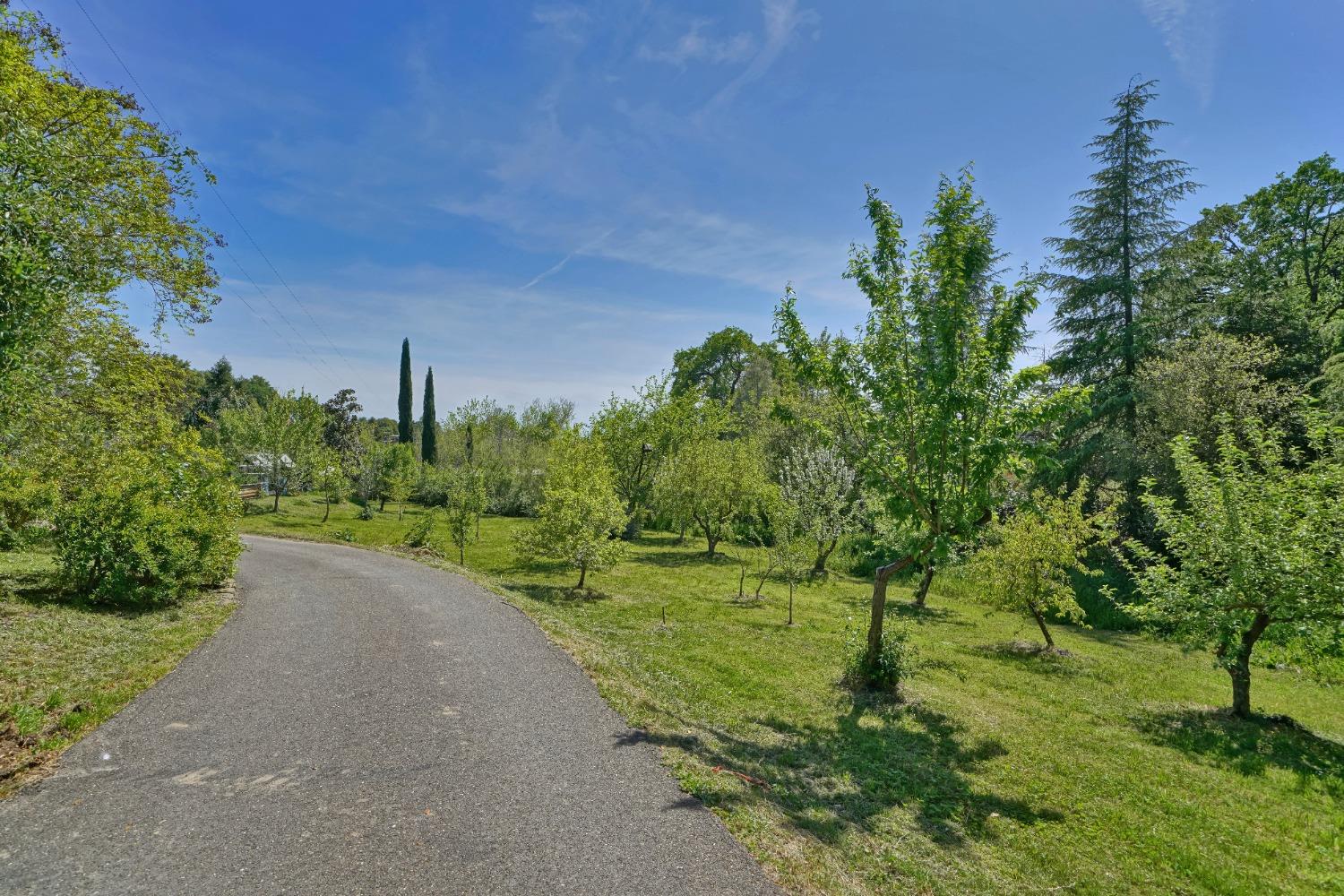 Gold Hill Road, Placerville, California image 33
