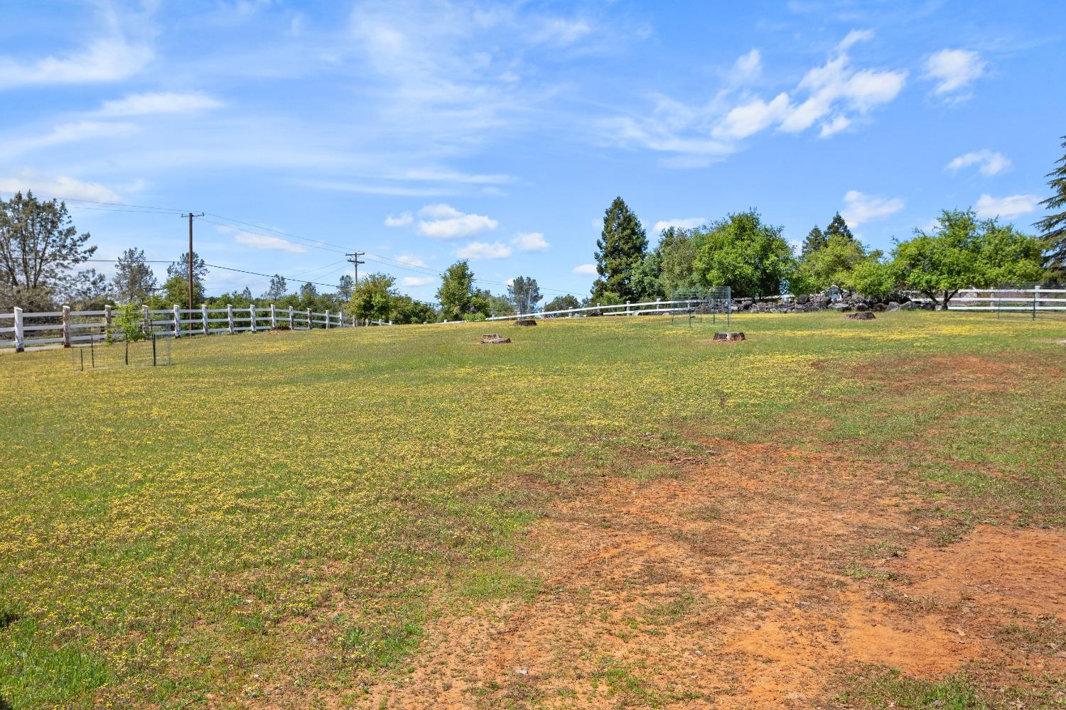 Starbuck Road, Rescue, California image 44