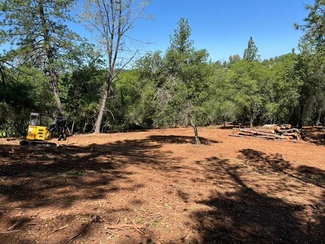 Detail Gallery Image 8 of 10 For 0 Hummingbird Ln, Cool,  CA 95614 - – Beds | – Baths