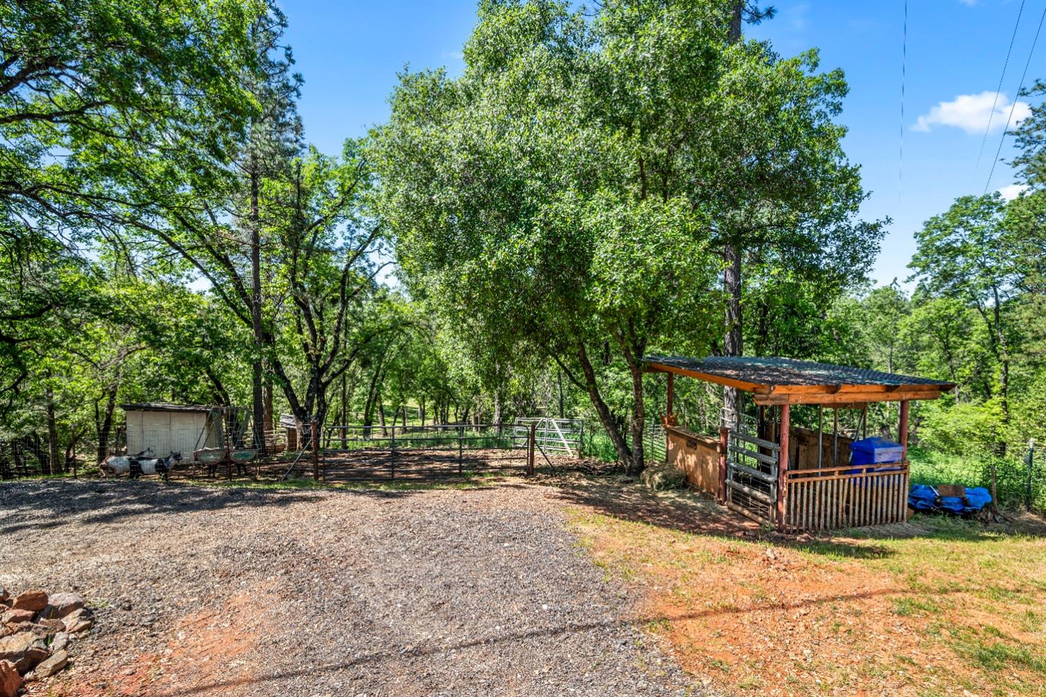 No Walk Road, Placerville, California image 45