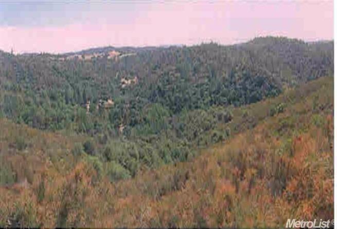 Ponderosa Way, Mokelumne Hill, California image 11