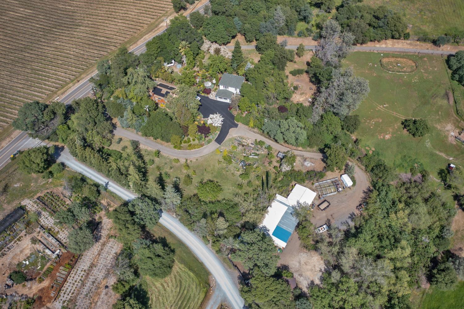 Gold Hill Road, Placerville, California image 47