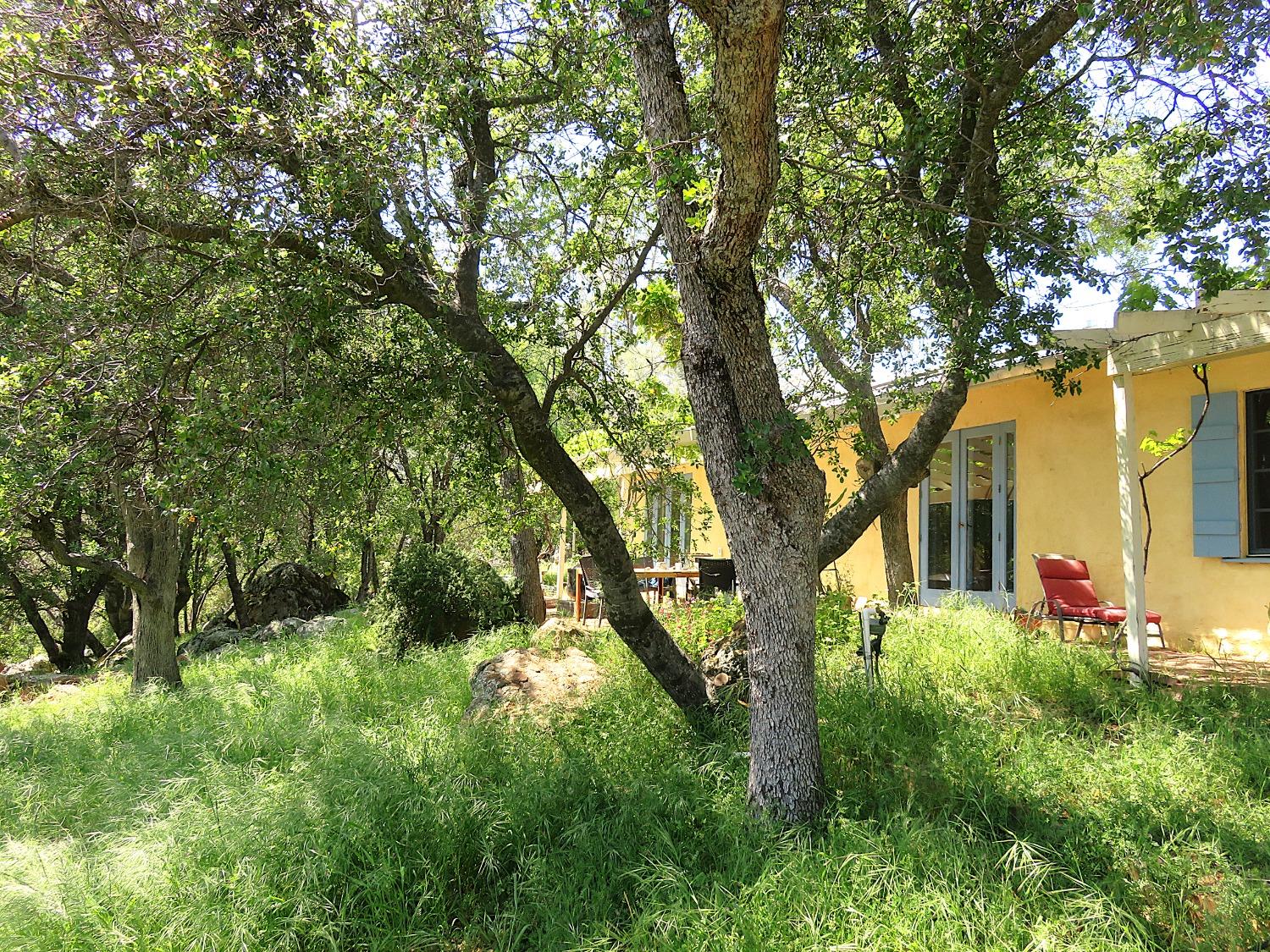 Detail Gallery Image 51 of 98 For 3528 Appaloosa Way, Angels Camp,  CA 95222 - 3 Beds | 2 Baths