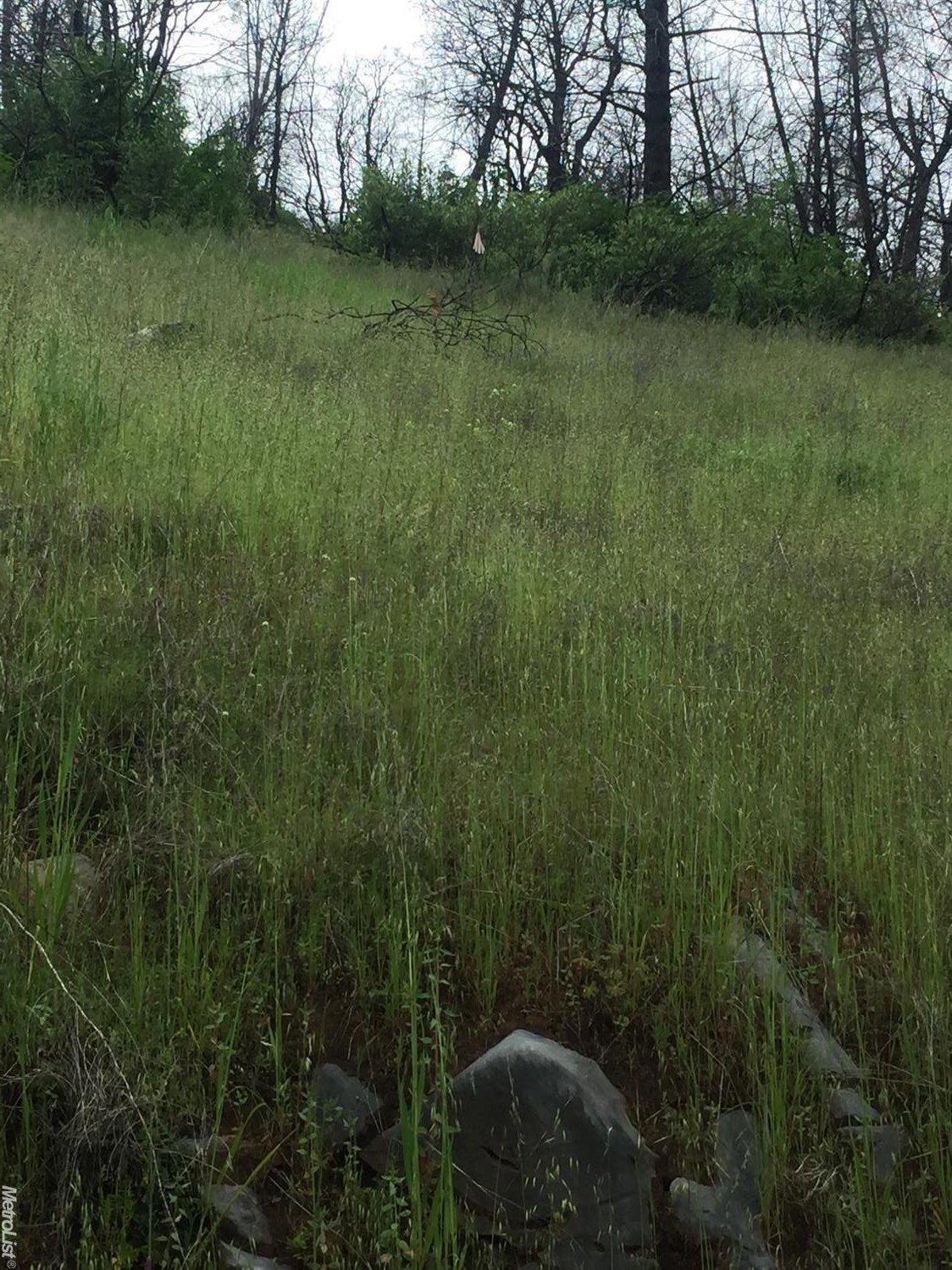 Ponderosa Way, Mokelumne Hill, California image 3