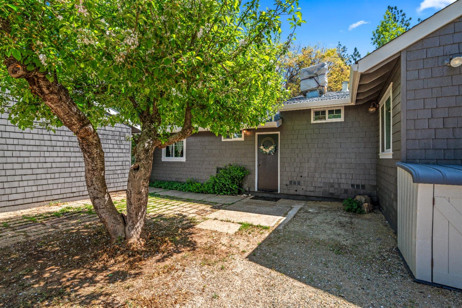 No Walk Road, Placerville, California image 36