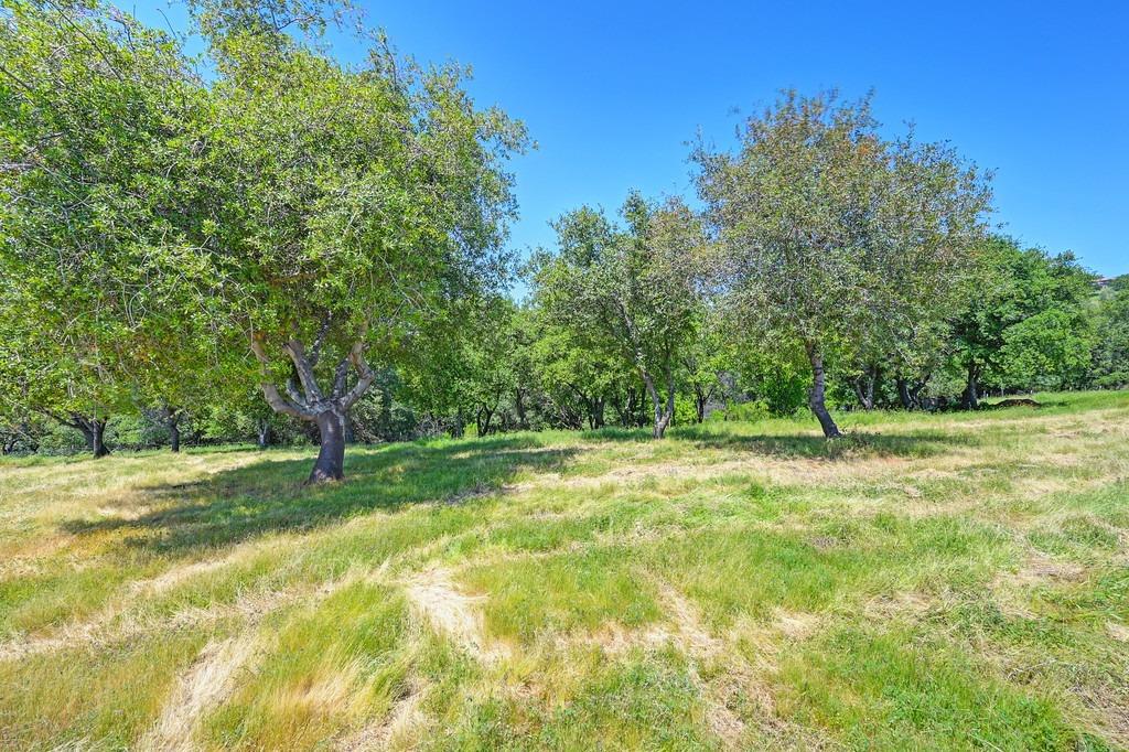 Detail Gallery Image 10 of 24 For 0 Coefield Rd, Auburn,  CA 95603 - – Beds | – Baths