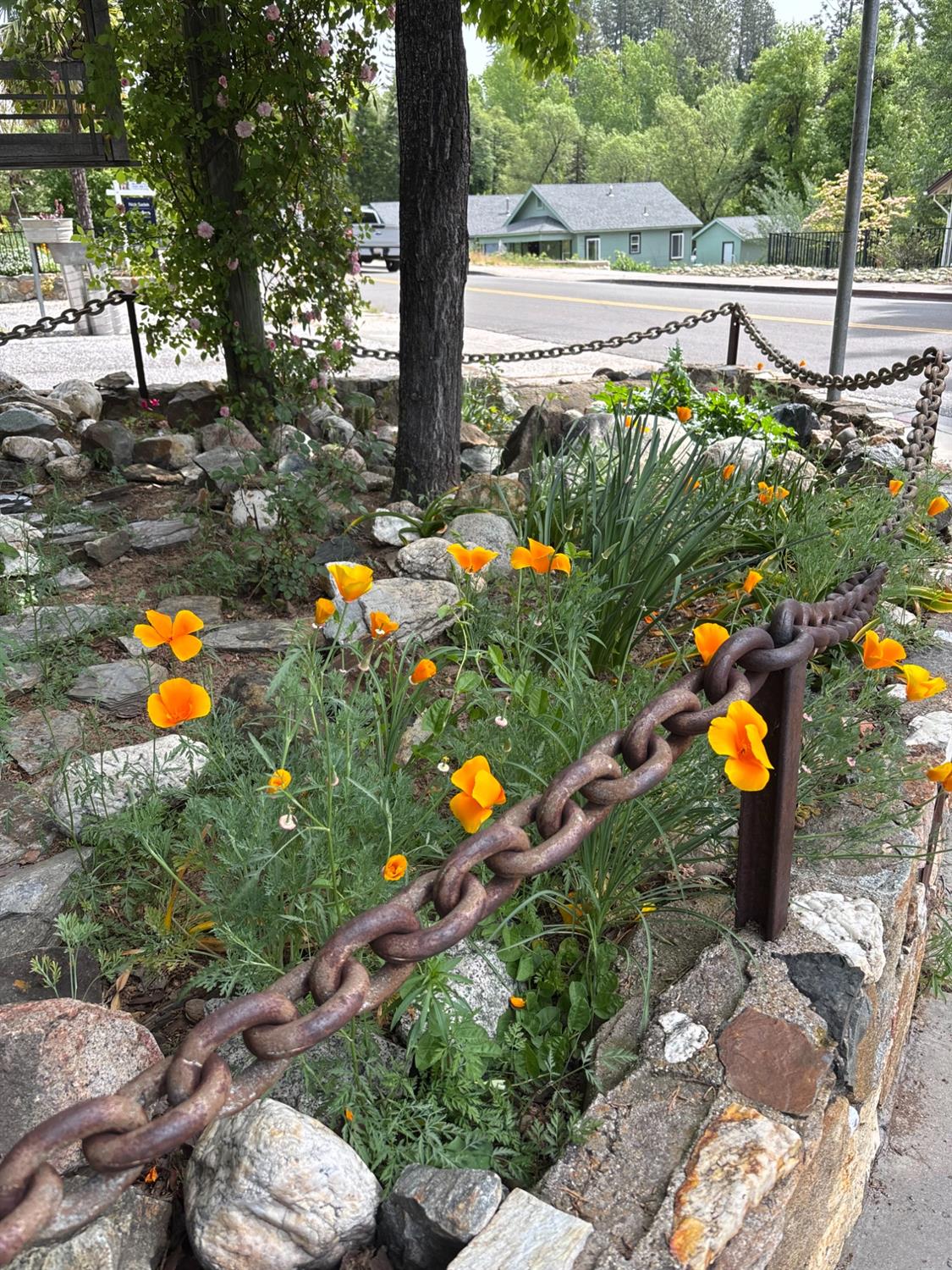 Detail Gallery Image 51 of 68 For 526 Mill St, Grass Valley,  CA 95945 - – Beds | – Baths