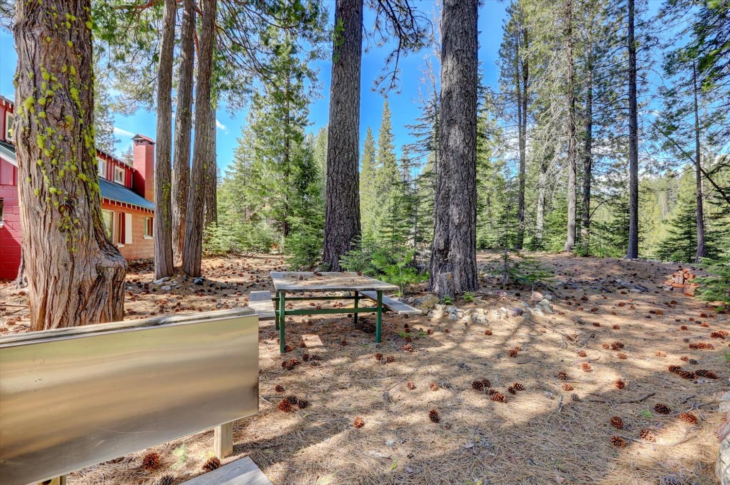 Detail Gallery Image 16 of 59 For 2051 Warren Hill Rd, Strawberry Valley,  CA 95981 - 1 Beds | 1 Baths