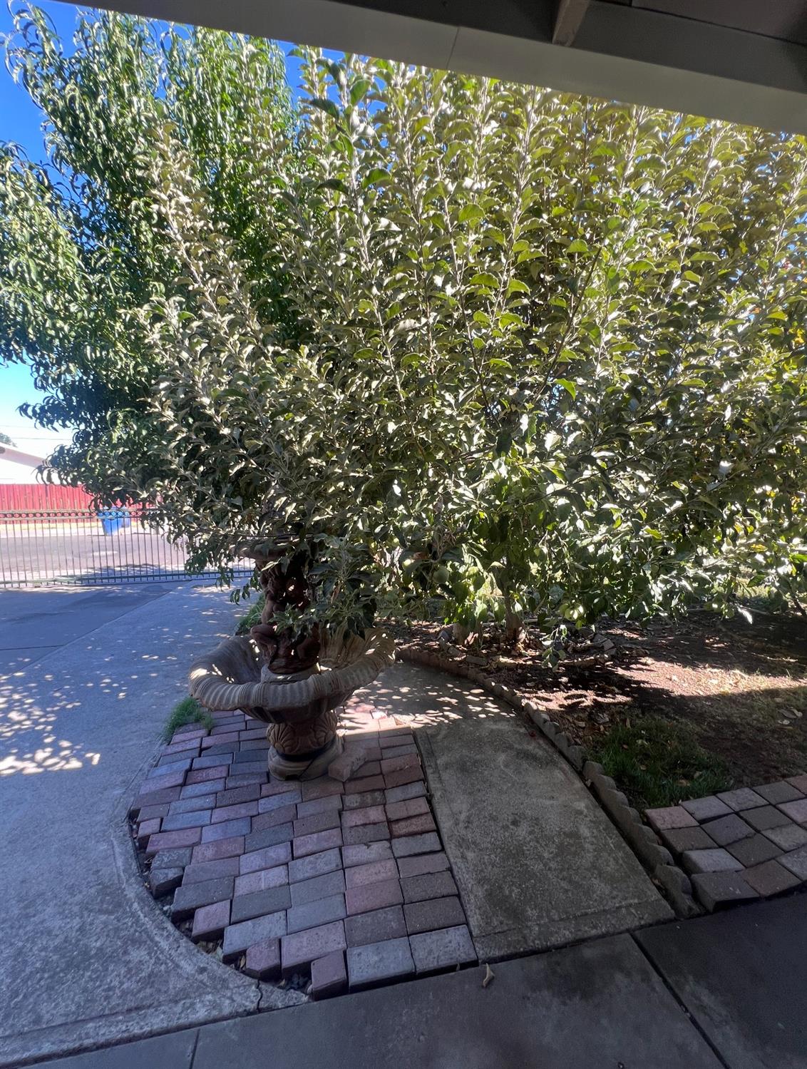 Detail Gallery Image 6 of 17 For 812 Northey Dr, Sacramento,  CA 95833 - 3 Beds | 1 Baths