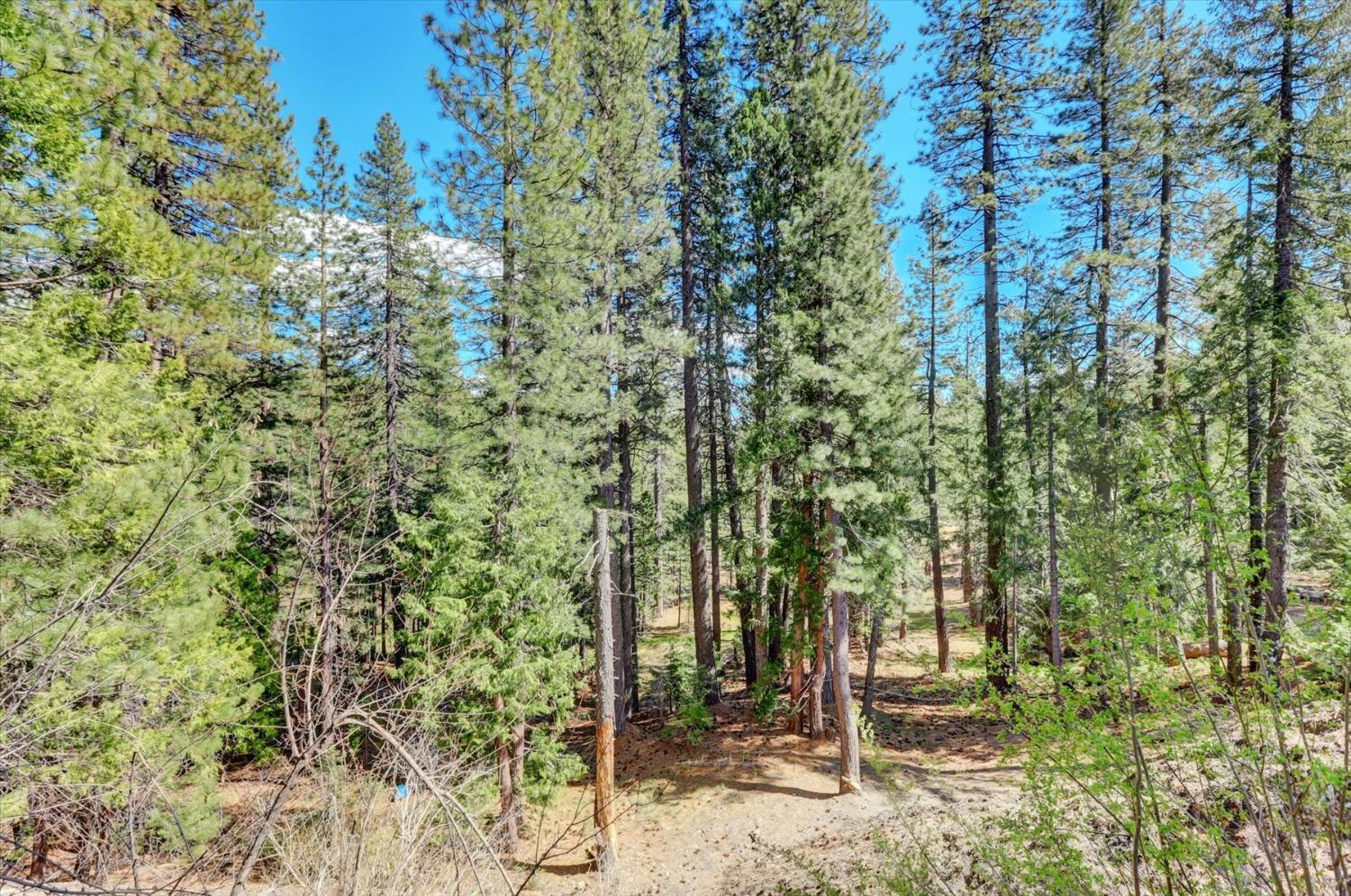 Detail Gallery Image 18 of 59 For 2051 Warren Hill Rd, Strawberry Valley,  CA 95981 - 1 Beds | 1 Baths