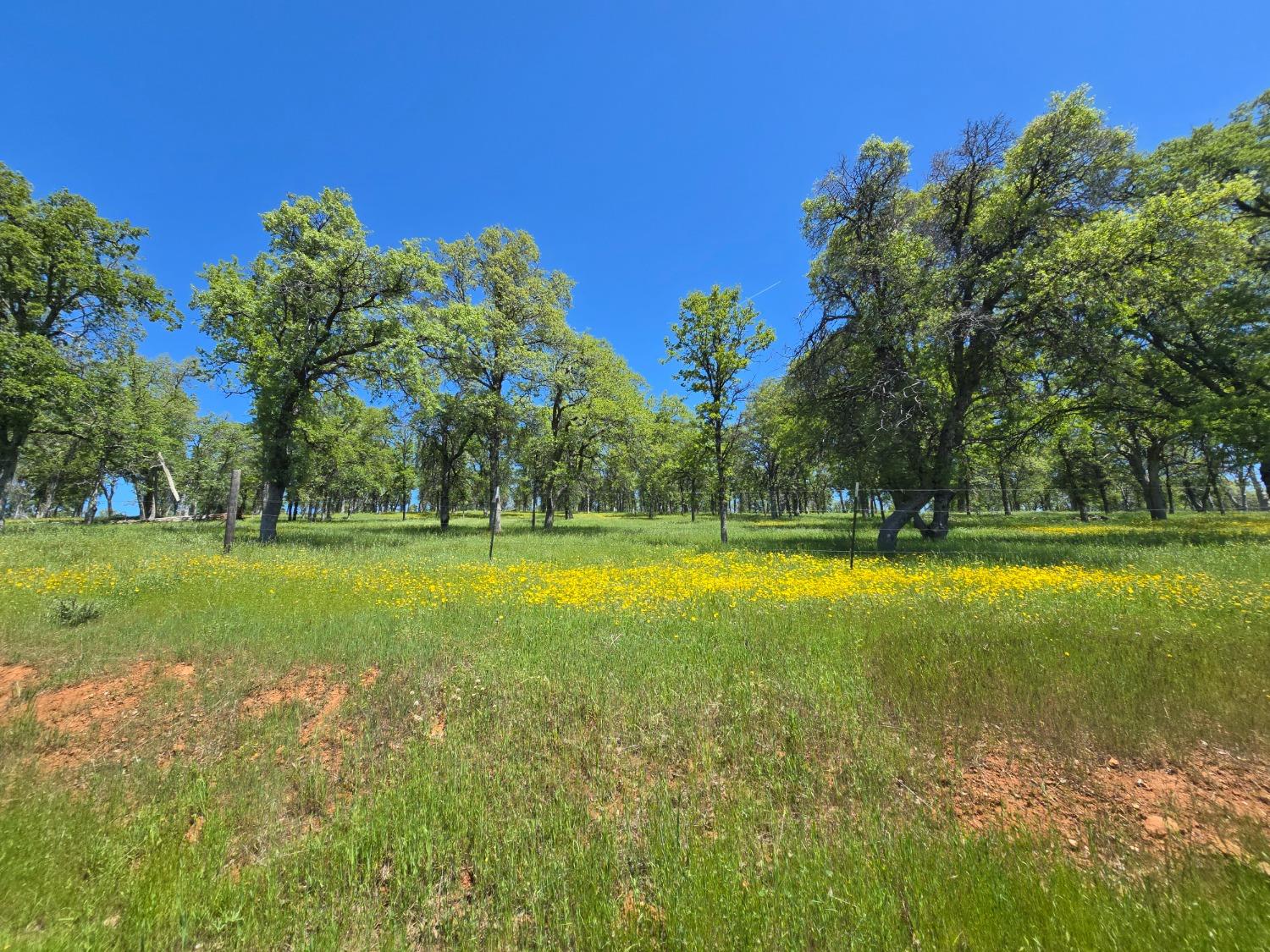 Detail Gallery Image 68 of 78 For 5963 Schilling Rd, Coulterville,  CA 95311 - 3 Beds | 2/1 Baths