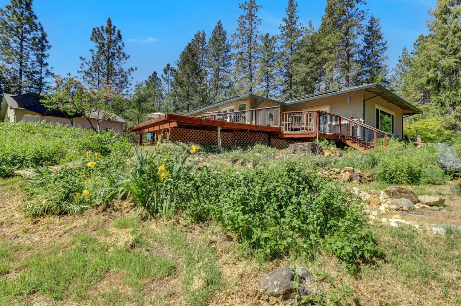 Detail Gallery Image 43 of 61 For 1075 Pine Vista Ln, Meadow Vista,  CA 95722 - 3 Beds | 2 Baths
