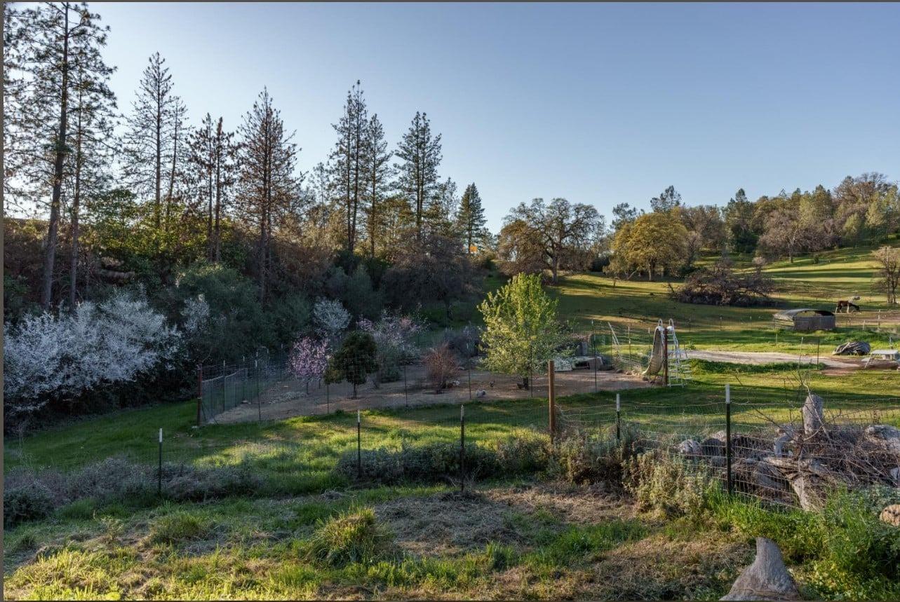 Detail Gallery Image 28 of 71 For 172 Rich Gulch Rd, Oroville,  CA 95965 - 2 Beds | 1 Baths