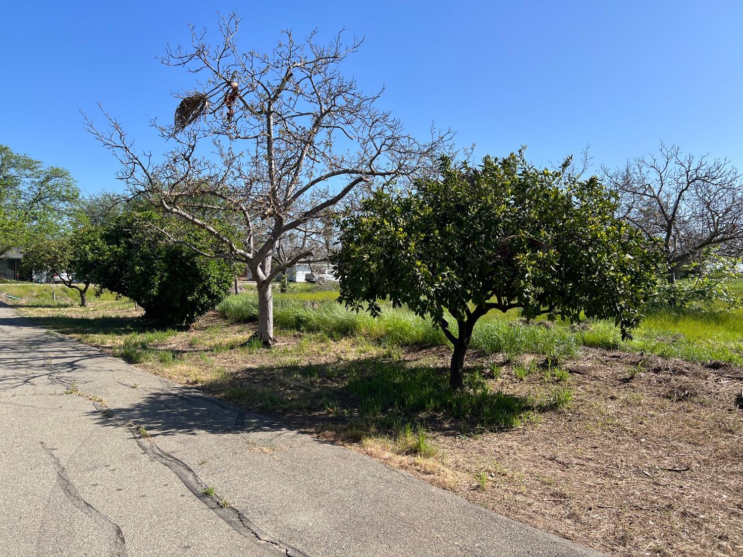Archer Avenue, Live Oak, California image 34