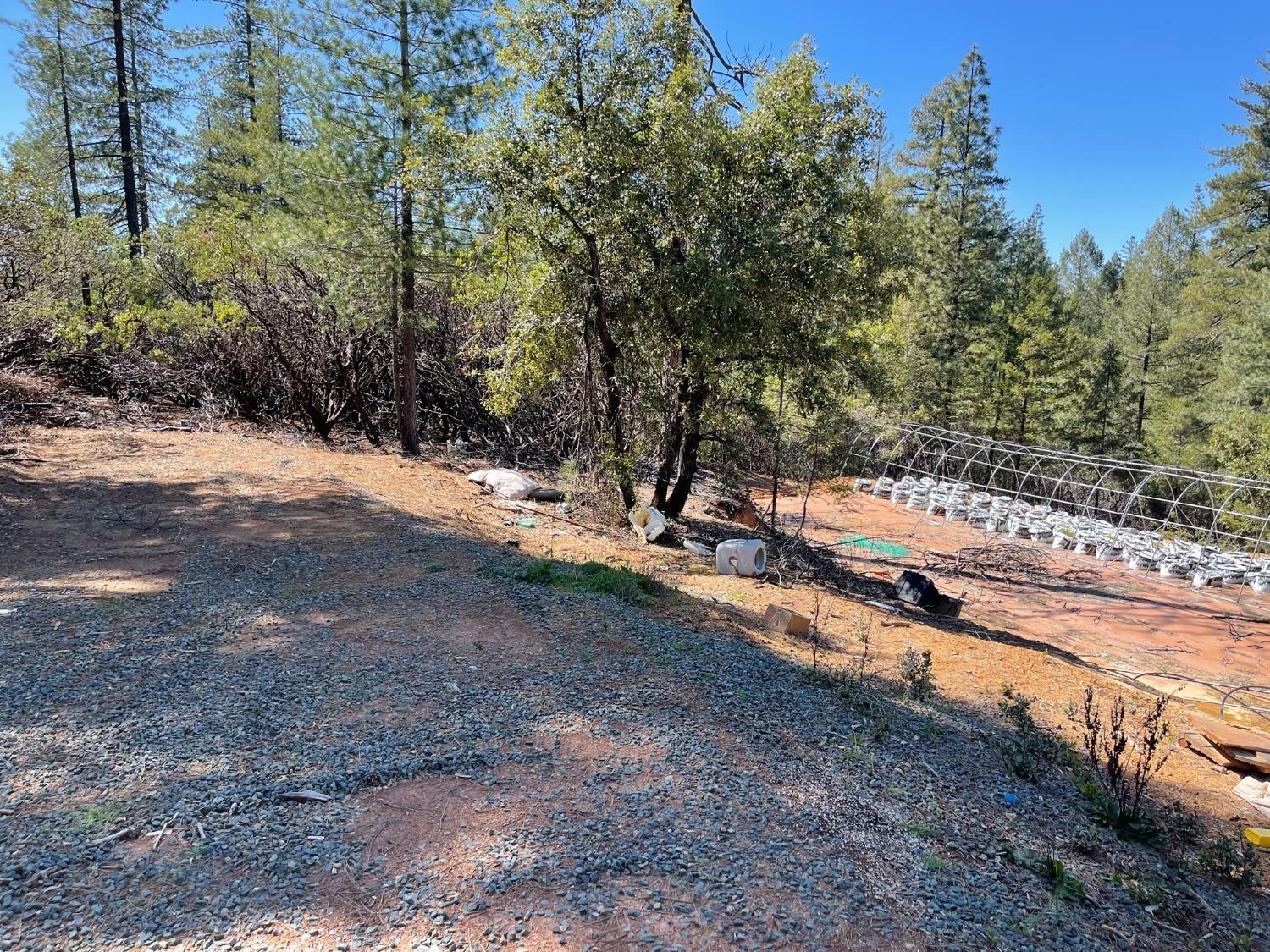 Detail Gallery Image 20 of 26 For 0 Kings Hill Rd, Colfax,  CA 95713 - – Beds | – Baths
