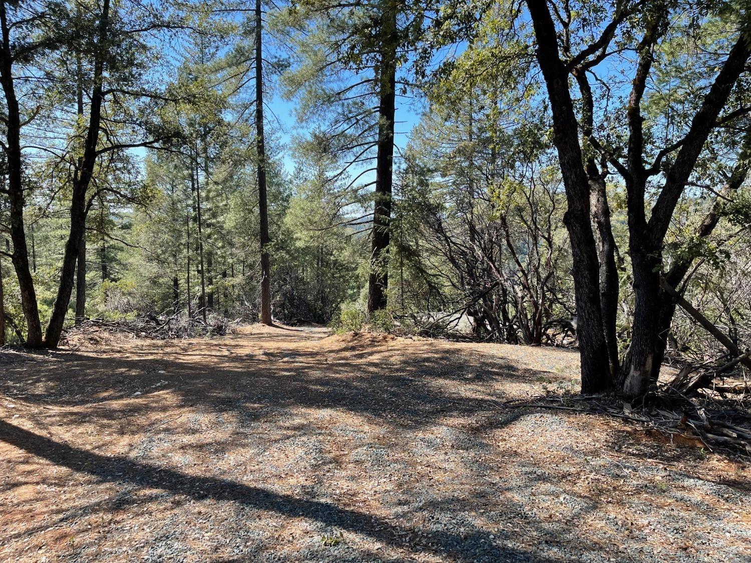 Detail Gallery Image 24 of 26 For 0 Kings Hill Rd, Colfax,  CA 95713 - – Beds | – Baths