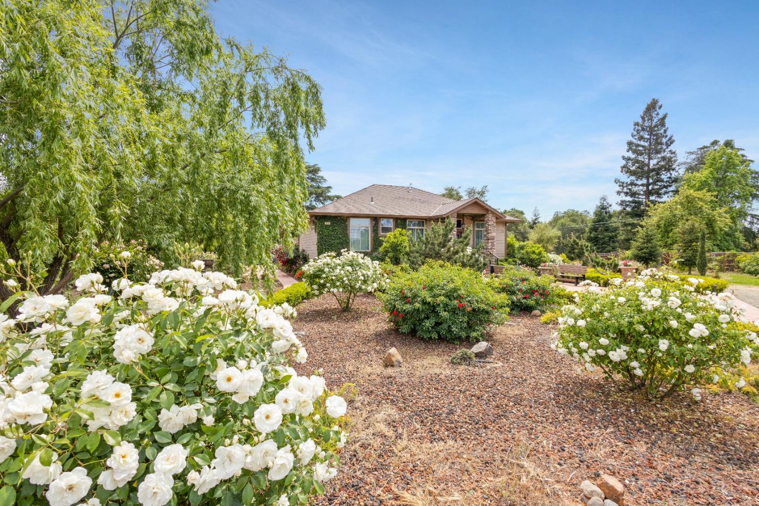 Detail Gallery Image 59 of 84 For 7964 Twin Oaks Ave, Citrus Heights,  CA 95610 - 3 Beds | 2/1 Baths