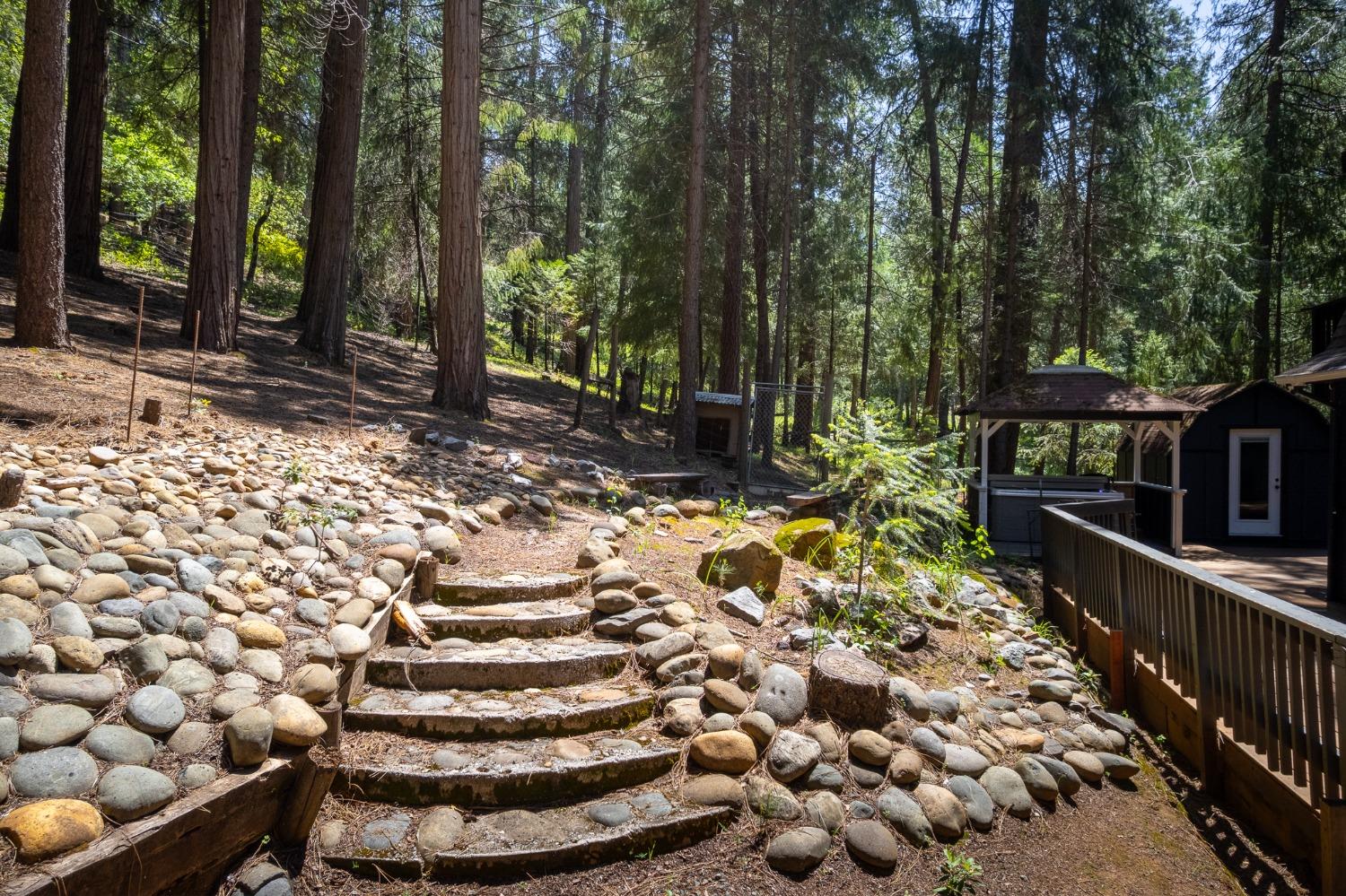 Detail Gallery Image 10 of 54 For 16199 Pioneer Creek Rd, Pioneer,  CA 95666 - 4 Beds | 2 Baths
