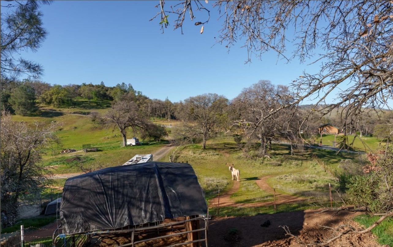 Detail Gallery Image 31 of 71 For 172 Rich Gulch Rd, Oroville,  CA 95965 - 2 Beds | 1 Baths
