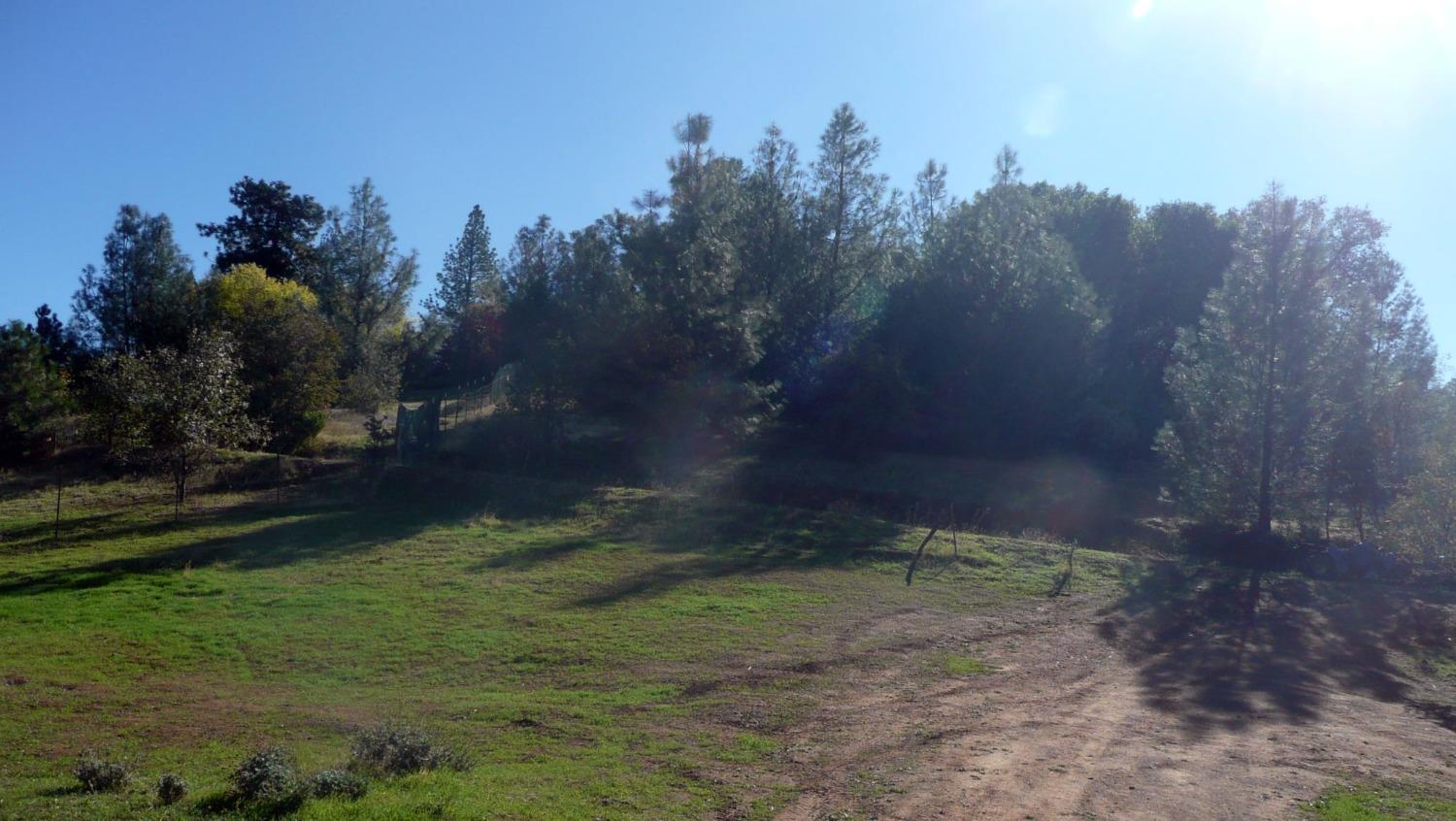Detail Gallery Image 52 of 71 For 172 Rich Gulch Rd, Oroville,  CA 95965 - 2 Beds | 1 Baths