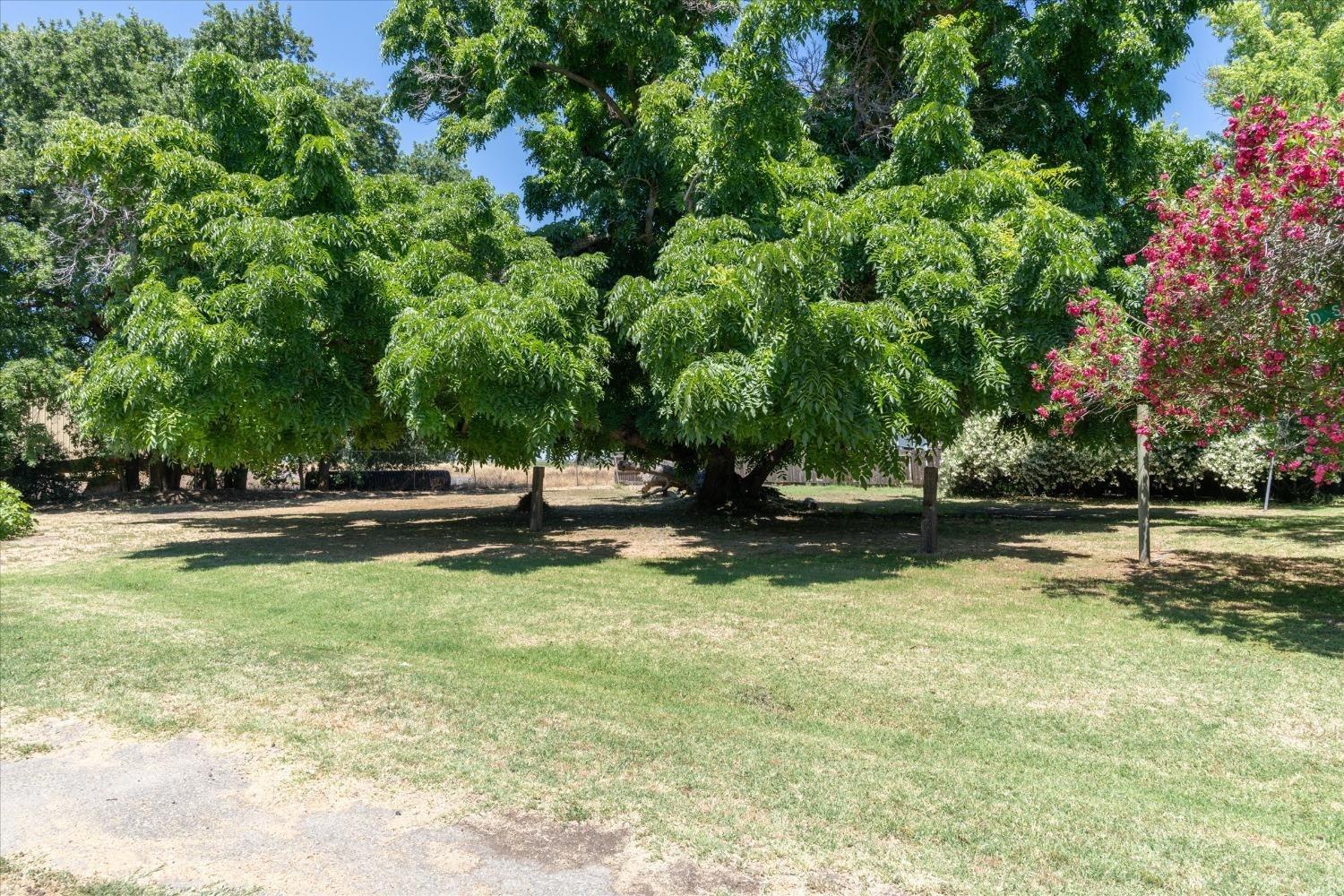 Detail Gallery Image 31 of 38 For 556 D St, Biggs,  CA 95917 - 3 Beds | 2 Baths