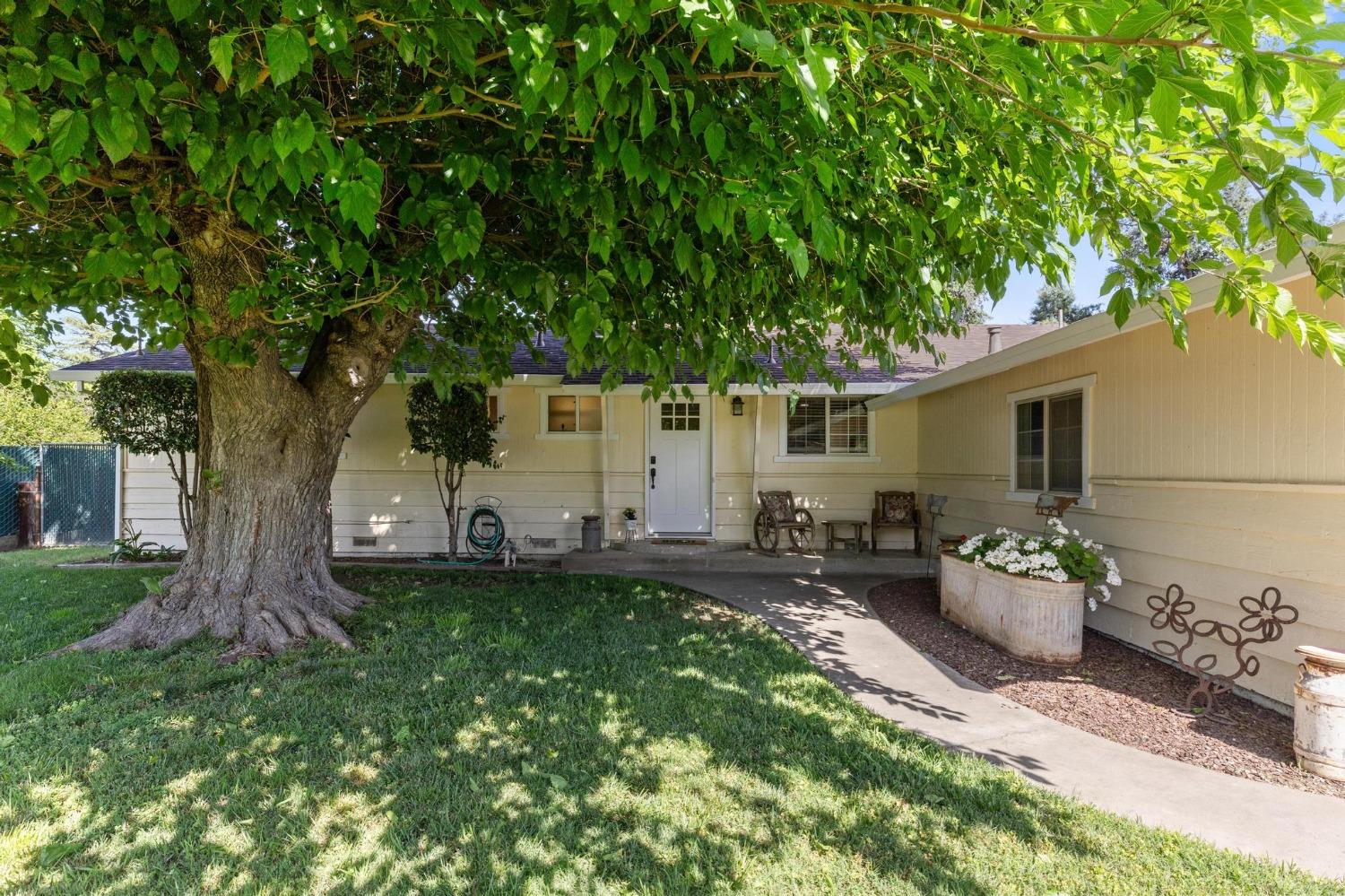 Mulberry, Sutter, California image 1