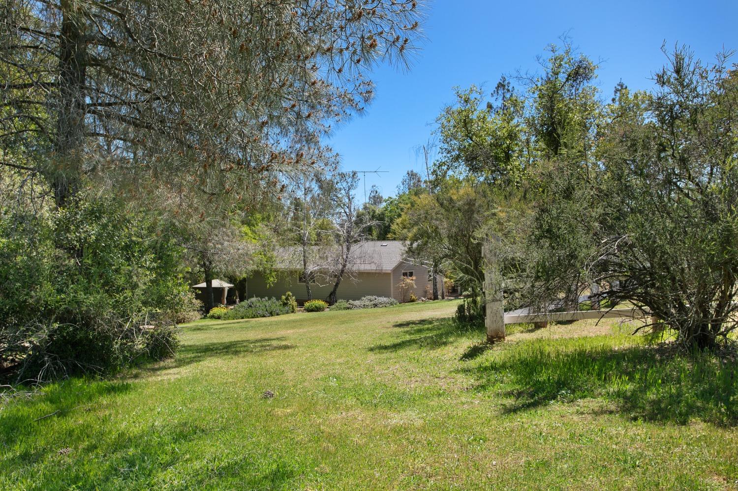 Detail Gallery Image 55 of 62 For 1731 Starbuck Rd, Rescue,  CA 95672 - 4 Beds | 3 Baths
