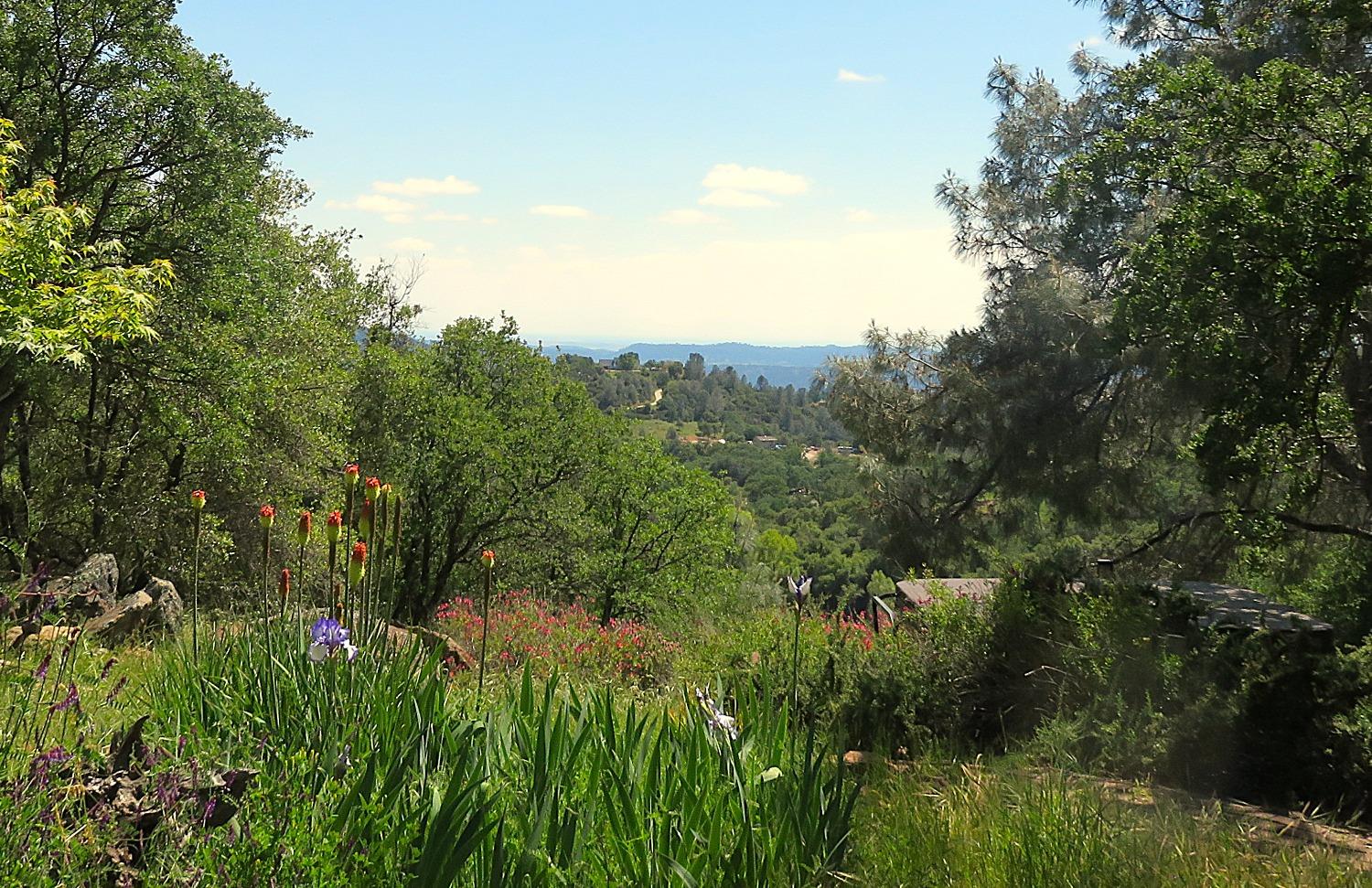 Detail Gallery Image 52 of 98 For 3528 Appaloosa Way, Angels Camp,  CA 95222 - 3 Beds | 2 Baths