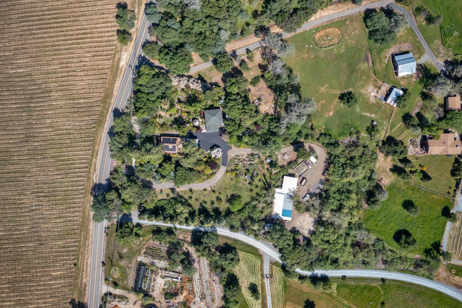 Gold Hill Road, Placerville, California image 50