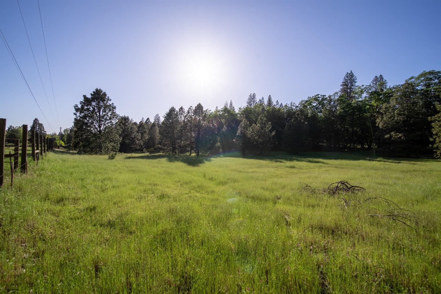 Glee Lane, Placerville, California image 1