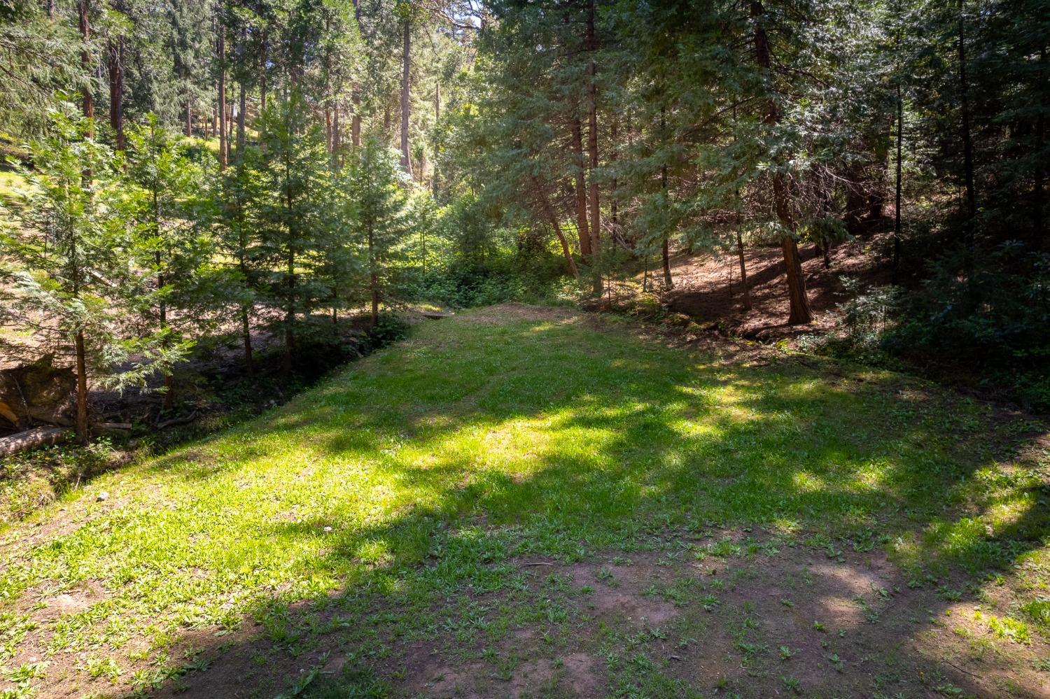 Detail Gallery Image 42 of 54 For 16199 Pioneer Creek Rd, Pioneer,  CA 95666 - 4 Beds | 2 Baths