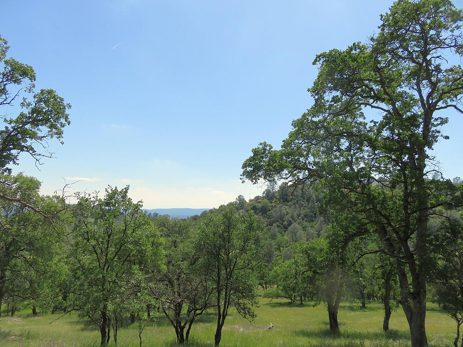 Detail Gallery Image 76 of 98 For 3528 Appaloosa Way, Angels Camp,  CA 95222 - 3 Beds | 2 Baths