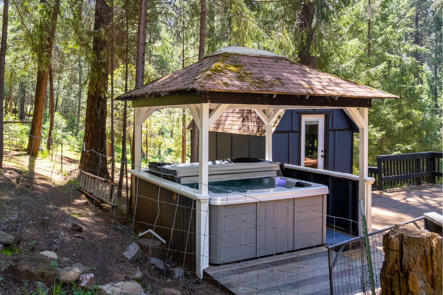 Detail Gallery Image 51 of 54 For 16199 Pioneer Creek Rd, Pioneer,  CA 95666 - 4 Beds | 2 Baths