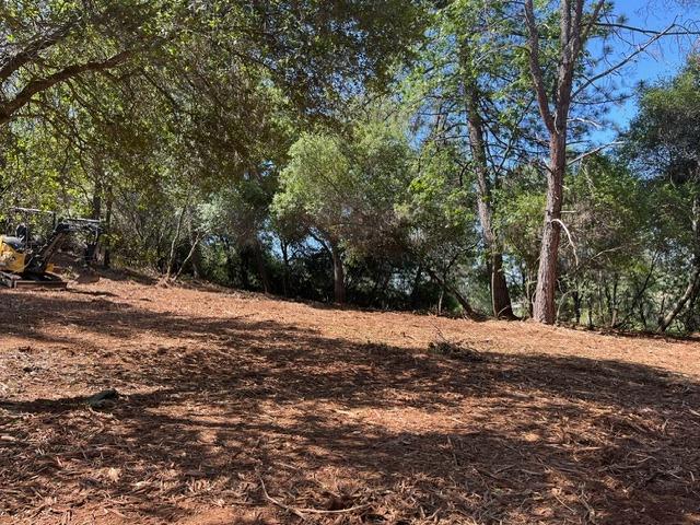 Detail Gallery Image 10 of 10 For 0 Hummingbird Ln, Cool,  CA 95614 - – Beds | – Baths
