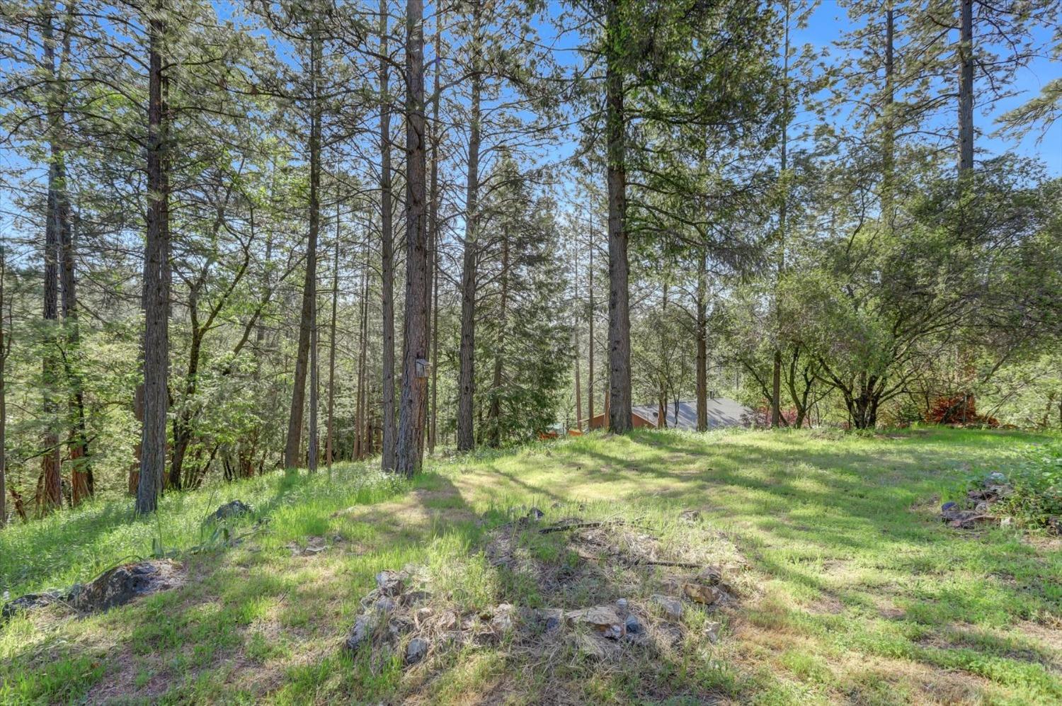 Detail Gallery Image 53 of 61 For 1075 Pine Vista Ln, Meadow Vista,  CA 95722 - 3 Beds | 2 Baths
