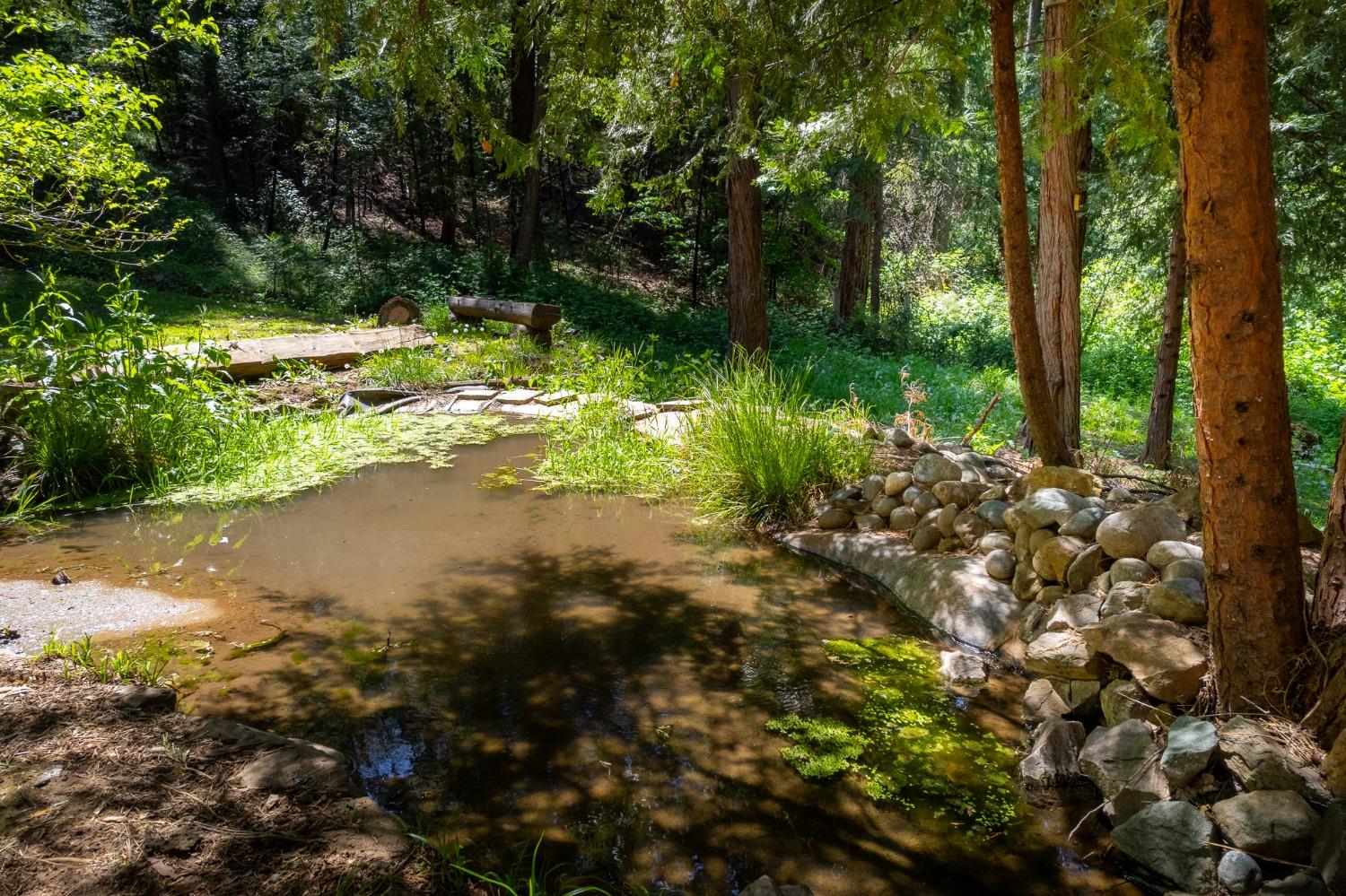 Detail Gallery Image 44 of 54 For 16199 Pioneer Creek Rd, Pioneer,  CA 95666 - 4 Beds | 2 Baths