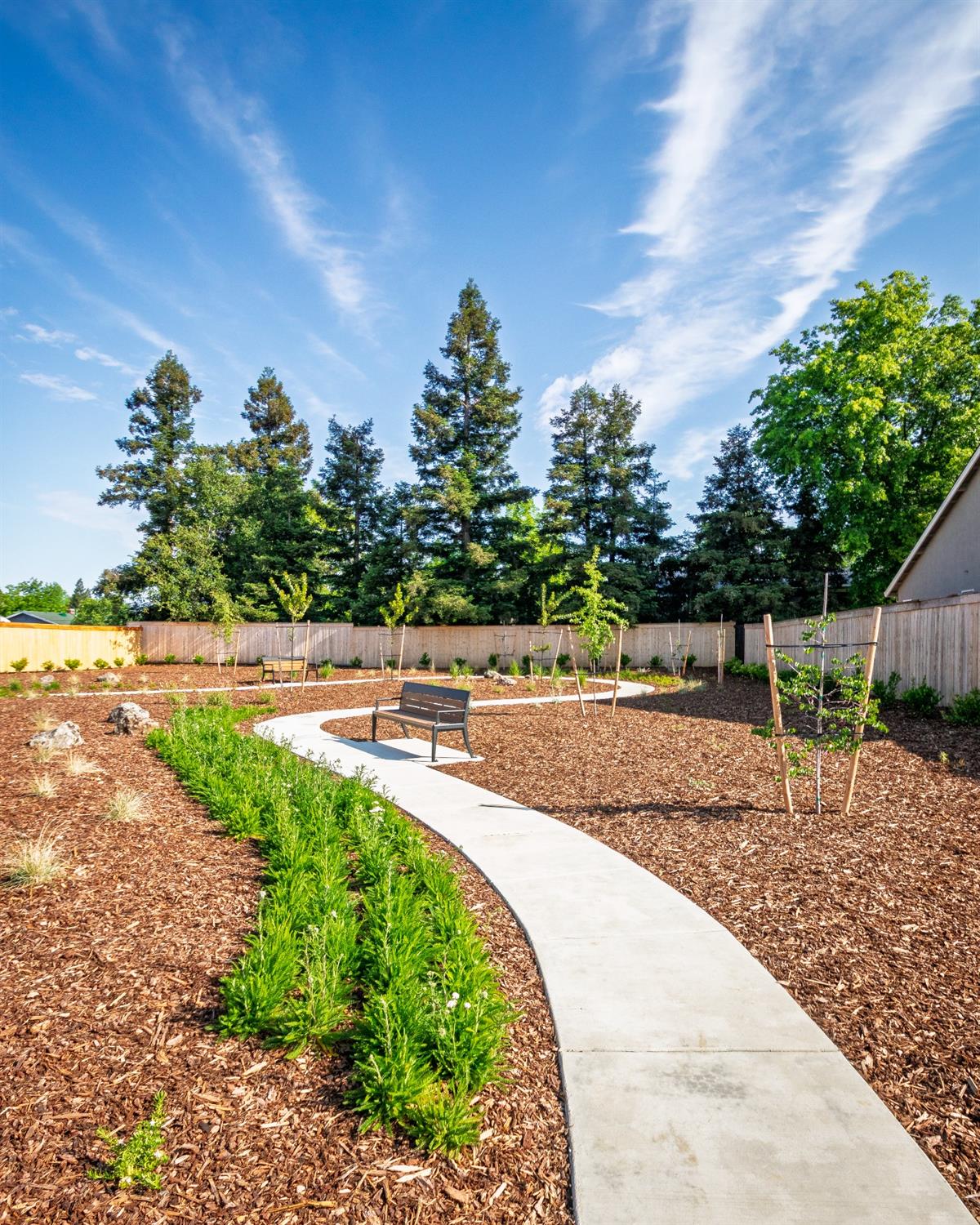 Detail Gallery Image 6 of 6 For 972 Carbahal St, Winters,  CA 95694 - 4 Beds | 3 Baths