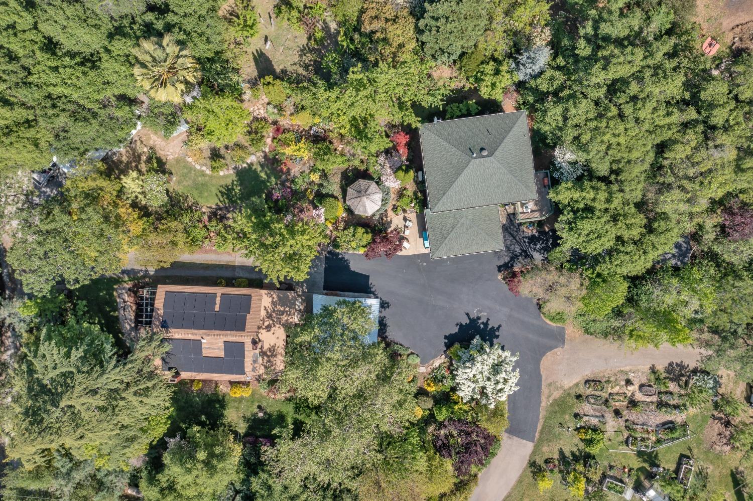 Gold Hill Road, Placerville, California image 44