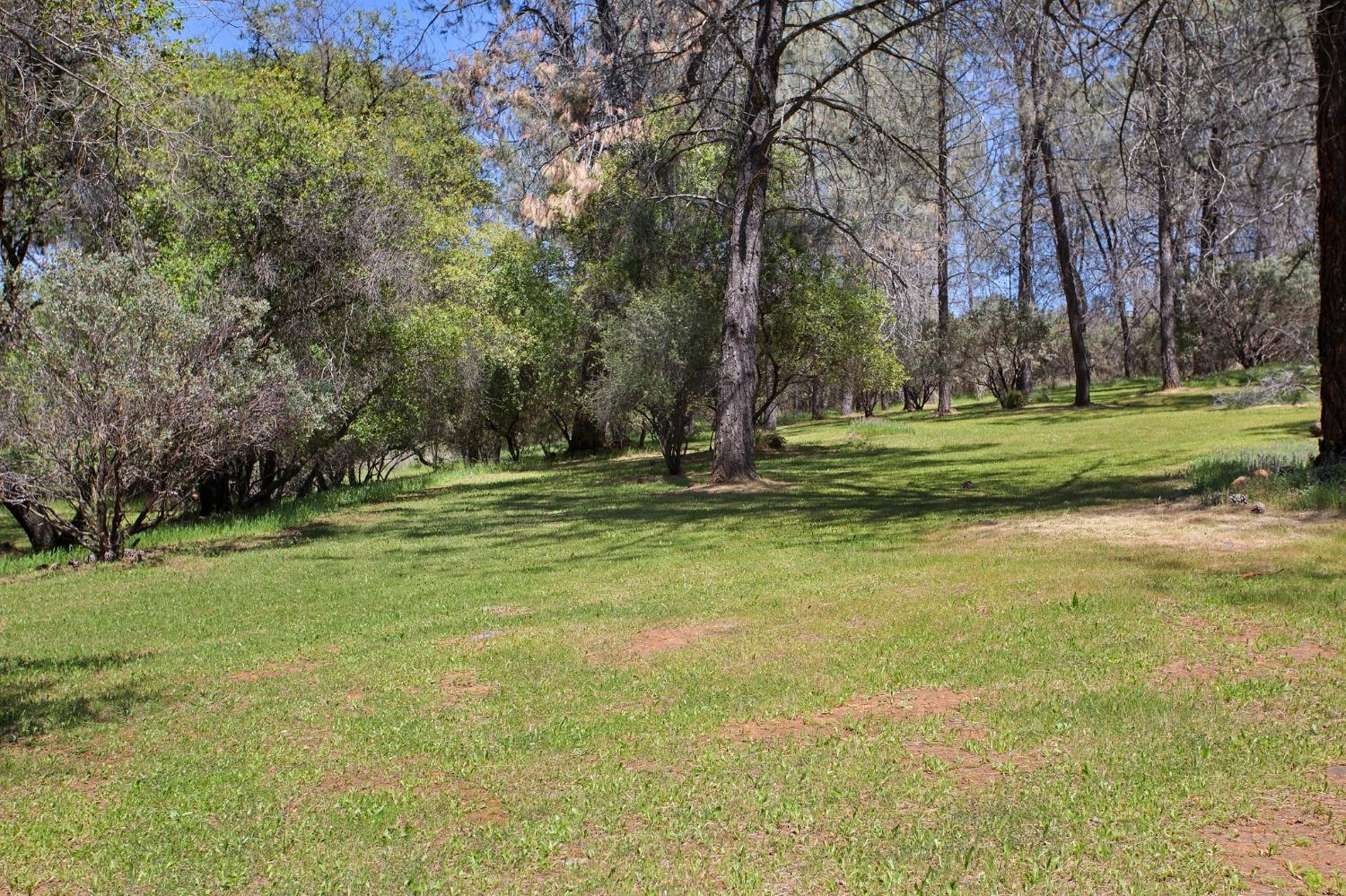 Detail Gallery Image 53 of 62 For 1731 Starbuck Rd, Rescue,  CA 95672 - 4 Beds | 3 Baths