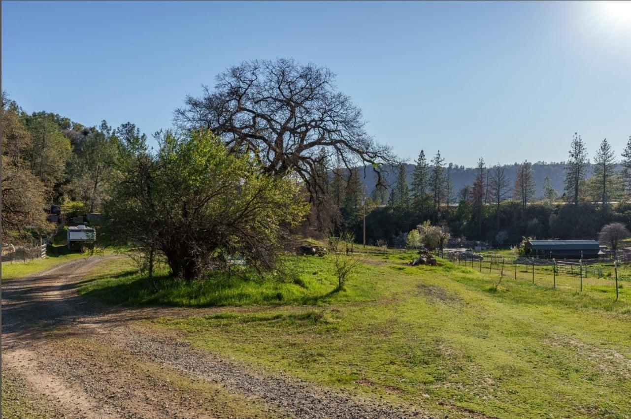 Detail Gallery Image 39 of 71 For 172 Rich Gulch Rd, Oroville,  CA 95965 - 2 Beds | 1 Baths