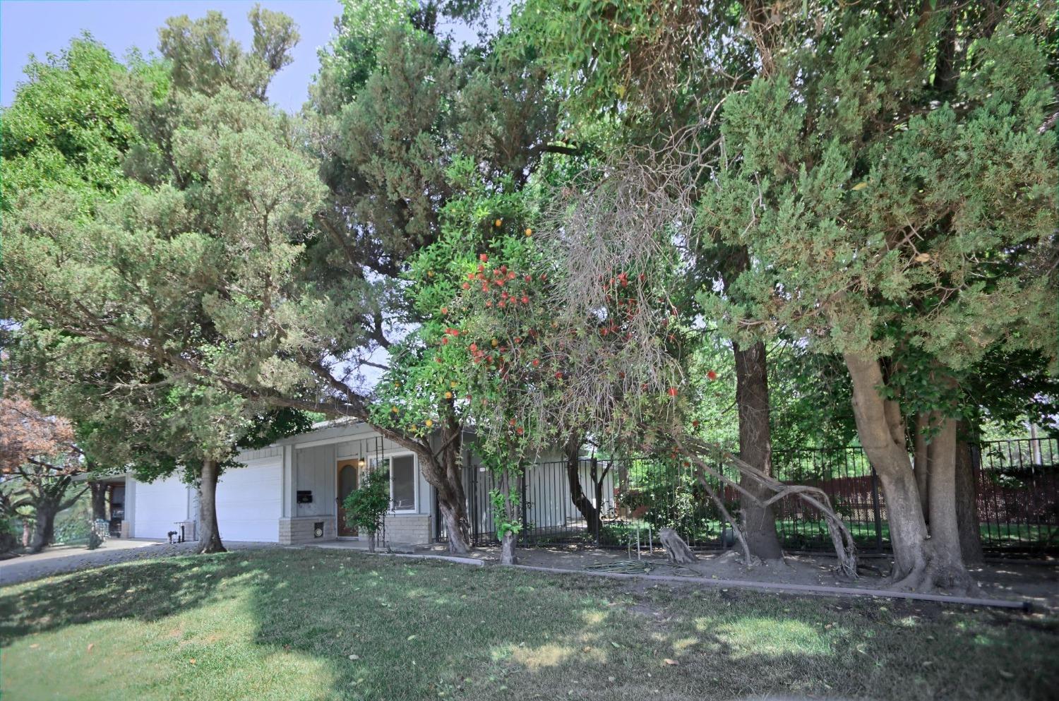 California, Woodland, California image 5