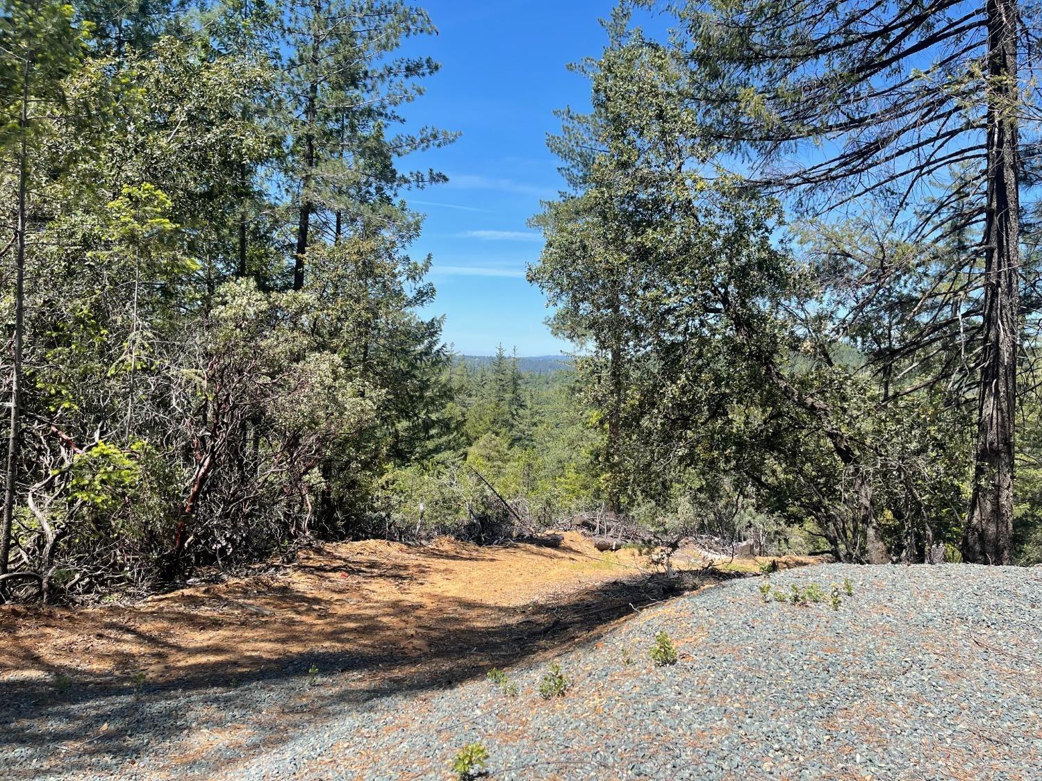 Detail Gallery Image 17 of 26 For 0 Kings Hill Rd, Colfax,  CA 95713 - – Beds | – Baths