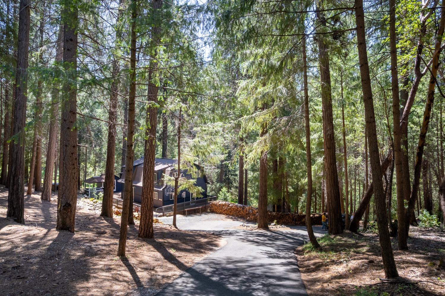 Detail Gallery Image 41 of 54 For 16199 Pioneer Creek Rd, Pioneer,  CA 95666 - 4 Beds | 2 Baths