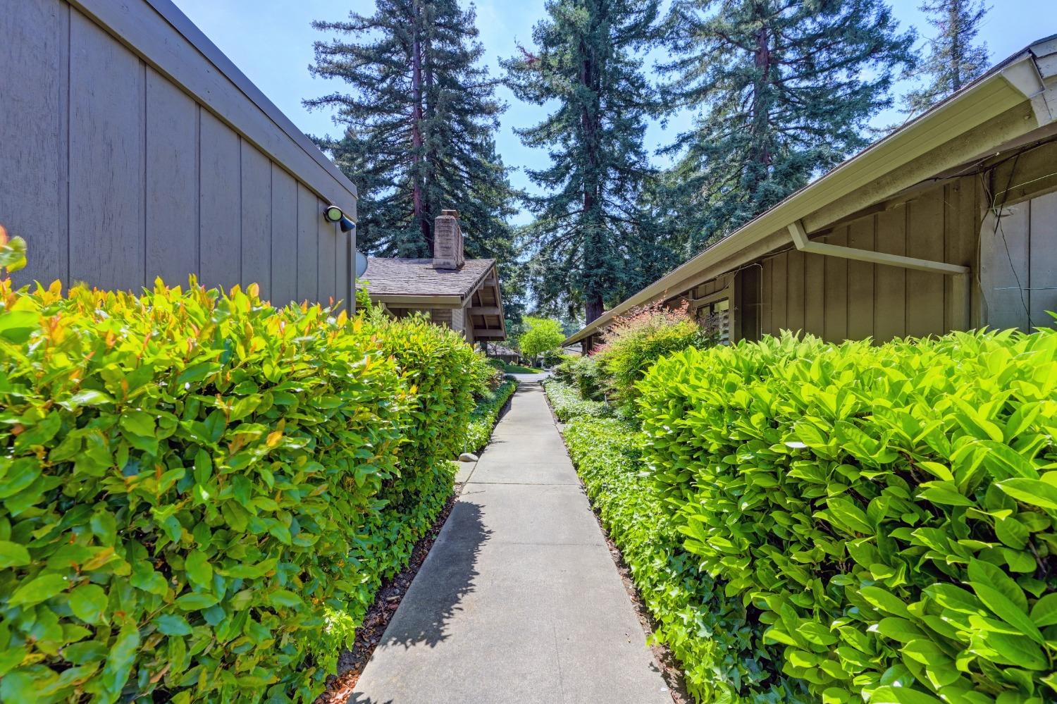 Detail Gallery Image 16 of 61 For 2473 American River Dr, Sacramento,  CA 95825 - – Beds | – Baths
