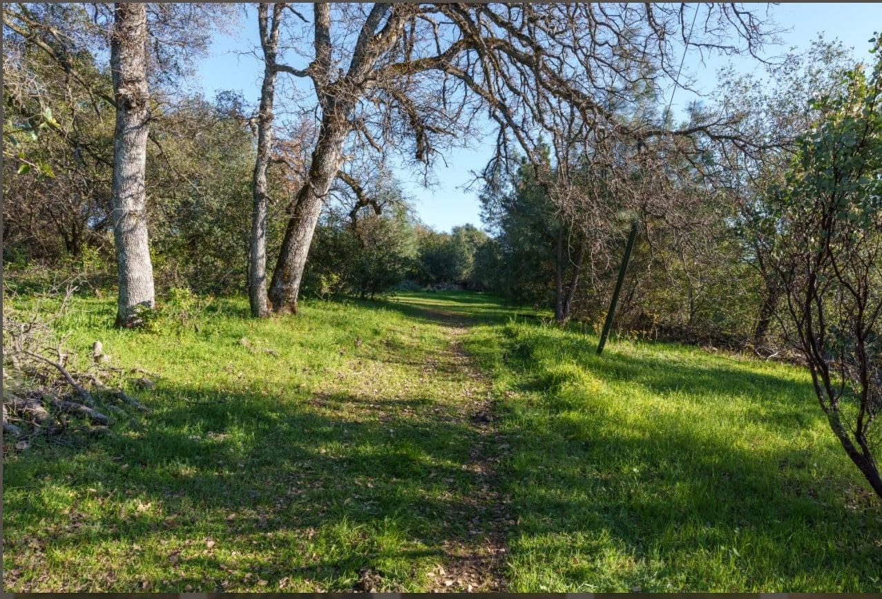 Detail Gallery Image 34 of 71 For 172 Rich Gulch Rd, Oroville,  CA 95965 - 2 Beds | 1 Baths