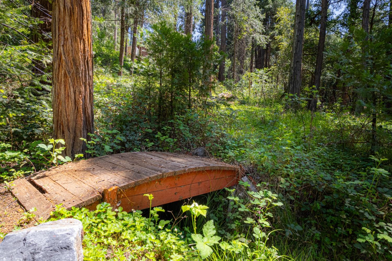 Detail Gallery Image 38 of 54 For 16199 Pioneer Creek Rd, Pioneer,  CA 95666 - 4 Beds | 2 Baths