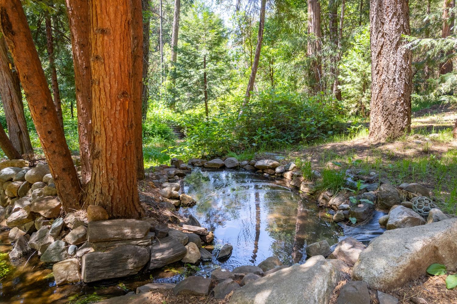 Detail Gallery Image 5 of 54 For 16199 Pioneer Creek Rd, Pioneer,  CA 95666 - 4 Beds | 2 Baths